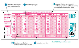 Florida Play 4 How to Play